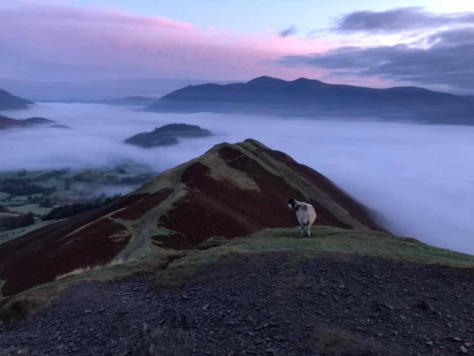 Rivendell Guest House Keswick  Dış mekan fotoğraf